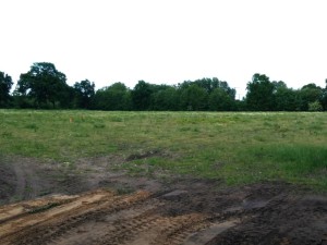 Baugebiet Wiesenpark in Kaltenkirchen